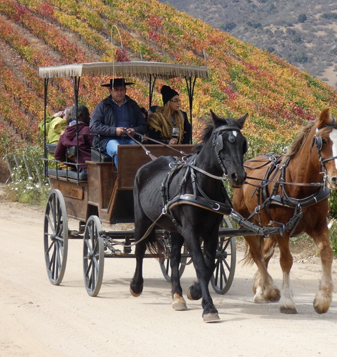 210ff423-e9d2-4516-9fb1-c49e34834c52