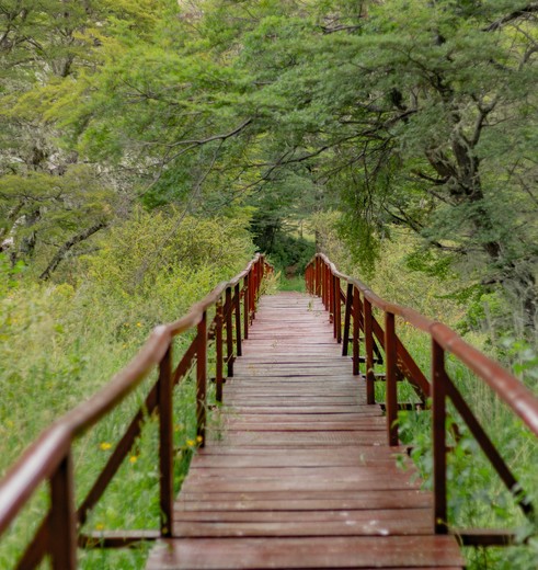 Chili-Coyhaique-park_1_430061