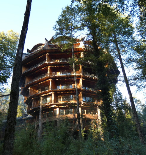 Chili-Huilo-Huilo-Hotel_1_432490