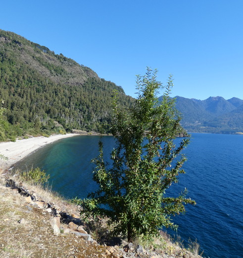 Chili-Huilo-Huilo-Meer_1_432438