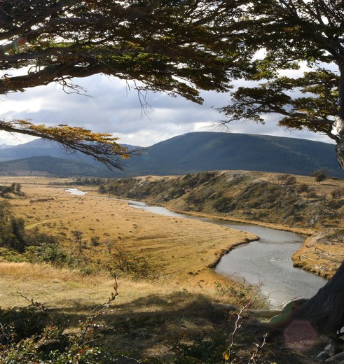 Chili-Isla-Navarino-Natuur