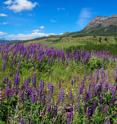 Coyhaique is de outdoor-hoofdstad van Patagonië met een spectaculaire ligging in een groene vallei tussen twee rivieren