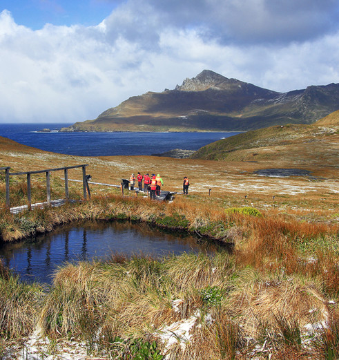Chili-Punta-Arenas-Australis-13