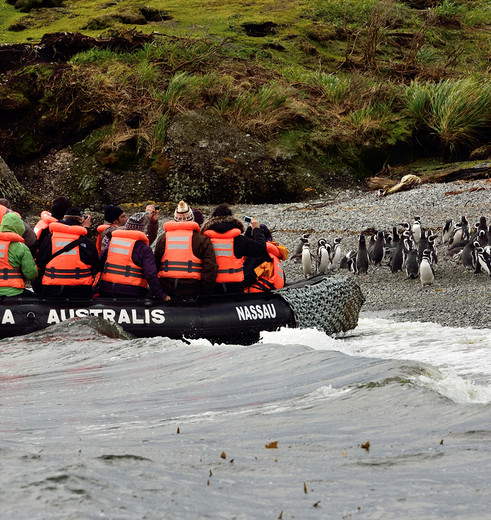 Chili-Punta-Arenas-Australis-5
