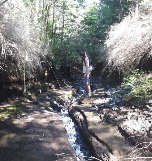 Puyehue National Park, Chili