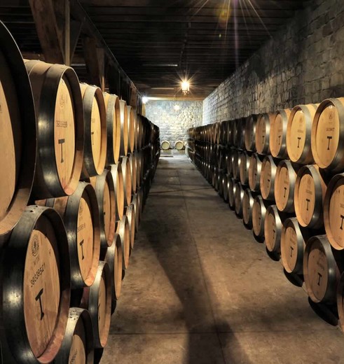 Wijnproeven in het wijngebied van Maipo