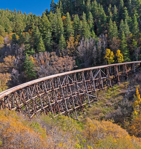Mooi wandelgebied rondom Cloudcroft, New Mexico, Amerika