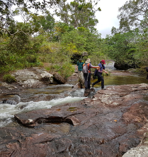 Colombia-Cano-Cristales-hiken_1_481573