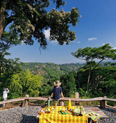 Colombia-Koffieregio-Finca-Romelia-Orchideentour-3