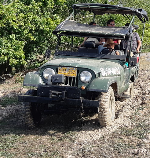 Colombia-Los-Llanos-wetlands Colombia-Los-Llanos-wetlands