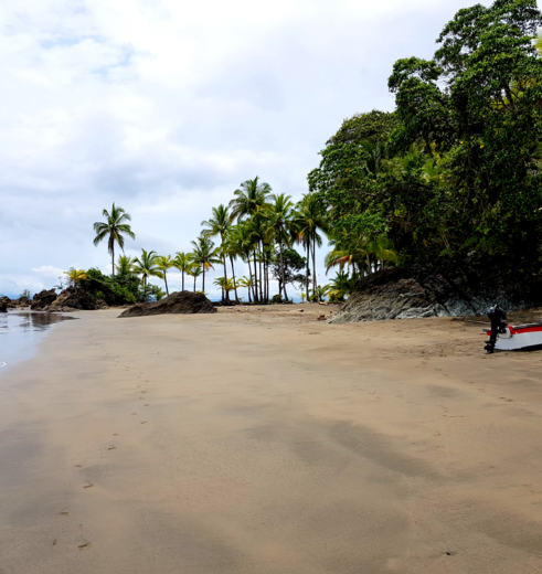 Colombia-Nuqui-strand_1_482350