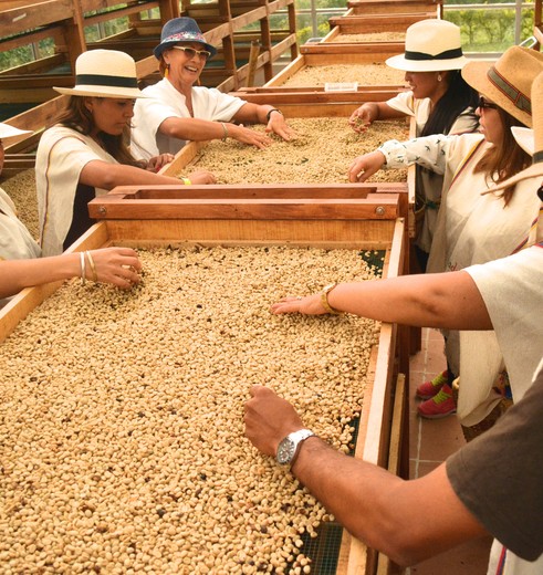 Colombia-Pereira-Finca-del-Cafe-1