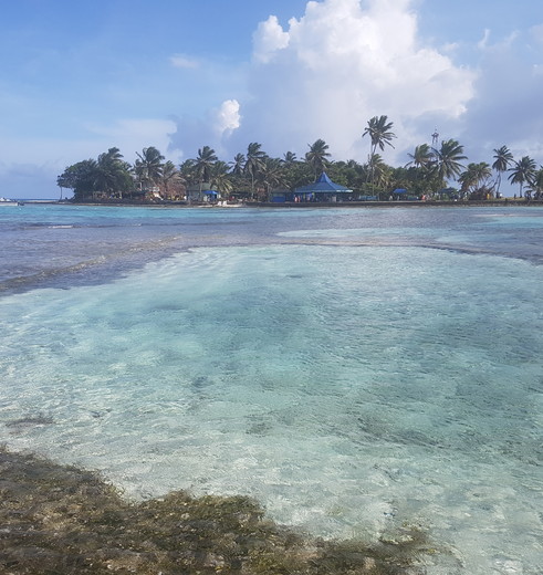 Het eiland Johnny Cay bij San Andrés