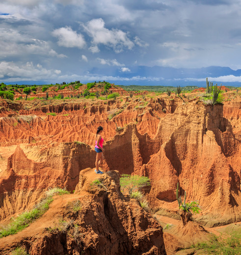 Oranje rotspartijen in San Agustín