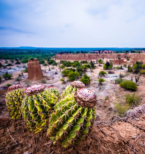 Onbekend Zuid-Colombia