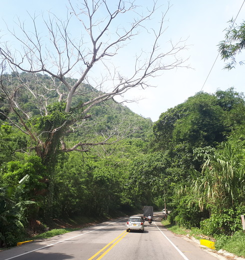 Onderweg naar het Tayrona National Park Onderweg naar het Tayrona National Park