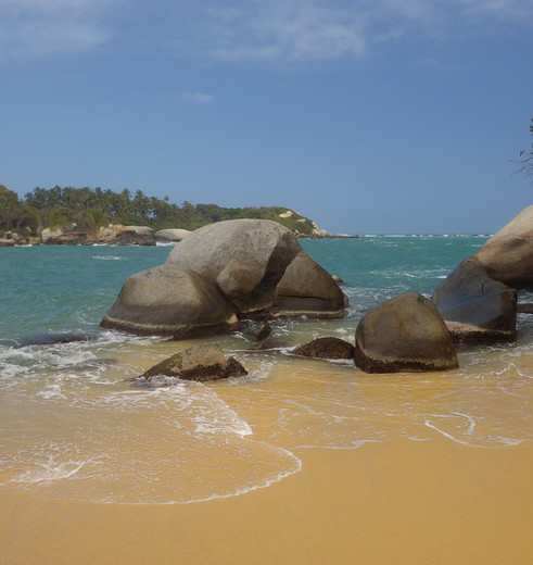 Colombia-TayronaNP-strand2_1_484387