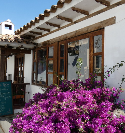 Colombia-Villa-de-Leyva-bougainville 