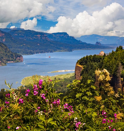 Uitzicht op de Columbia River Gorge, Oregon, VS