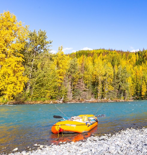Vliegvissen bij Kenai, Alaska, Amerika