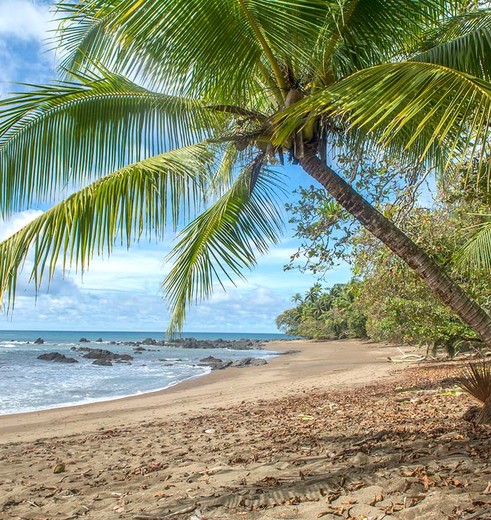 Genieten langs het strand in Corcovado National Park