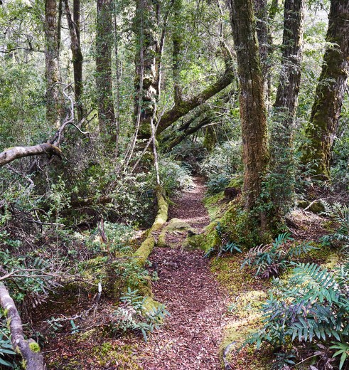 Wandelen in Corinna Wilderness, Australië