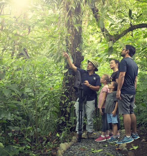 Met een gids een tocht maken door Arenal National Park