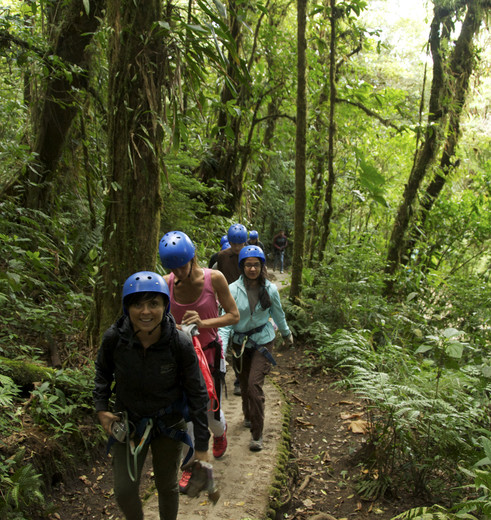 Costa-Rica-Monteverde-Canopy-1(10)