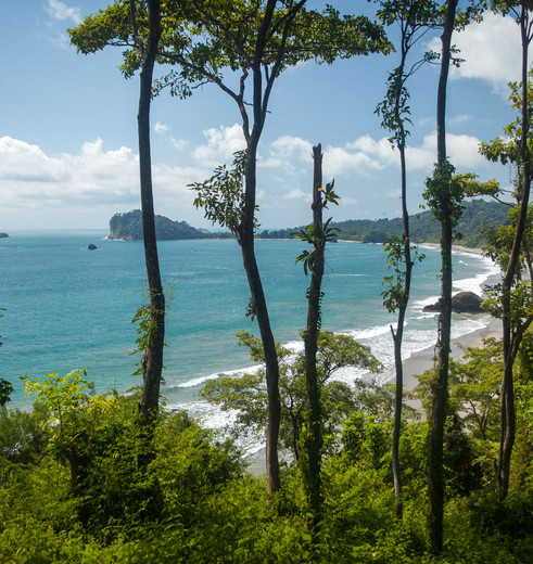 Strand bij Manuel Antonio National Park