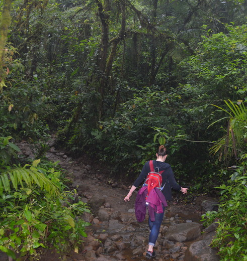 Costa-Rica-Tenorio-Hiken