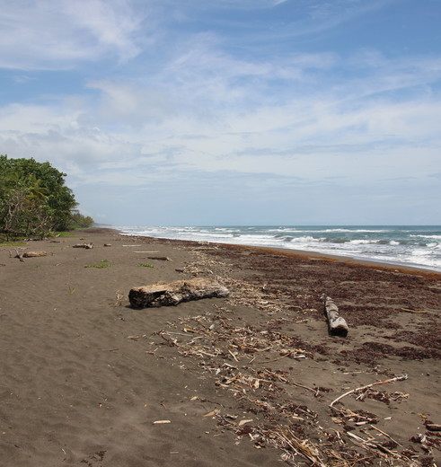 Costa-Rica-Tortuguero-Strand(10)