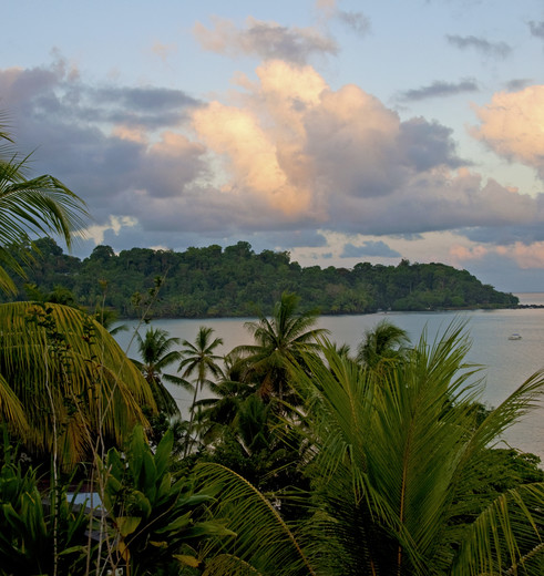 Beleef de jungle in Corcovado Nationaal Park