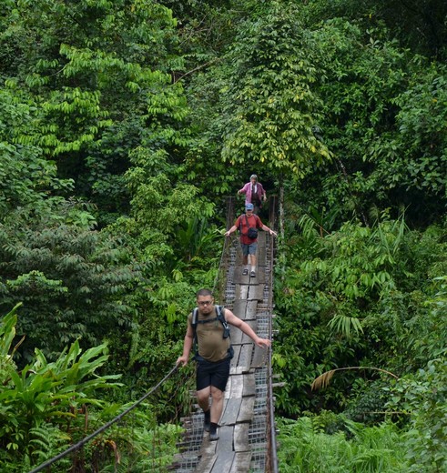 Crocker-Range-brug(8)