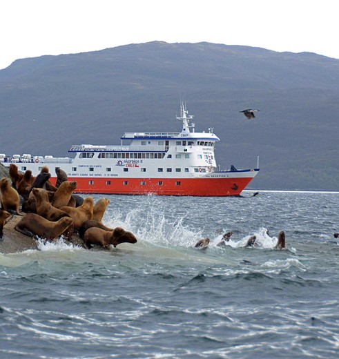 Cruise door Chili en spot fauna © Skorpios
