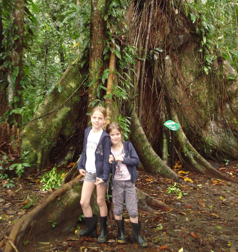 Wandelen in Corcovado National Park,. Costa Rica