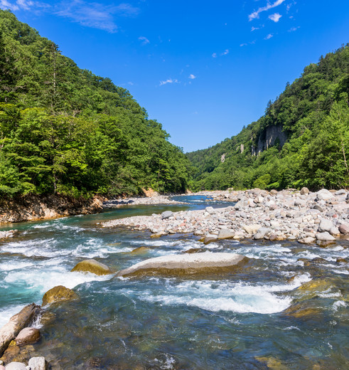 3bc784d2-6d70-46ad-a53b-67a275936545