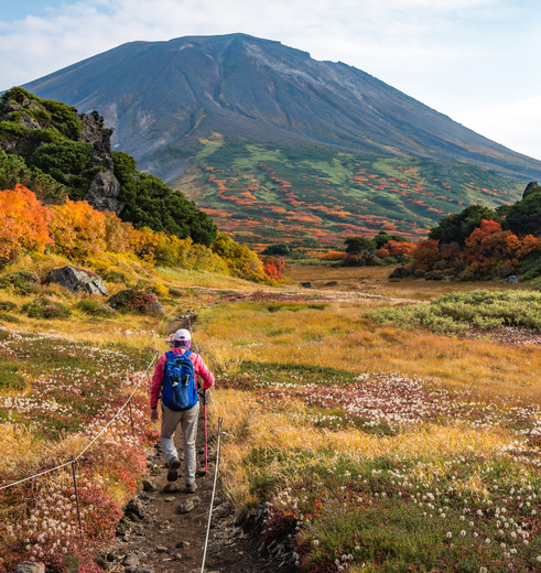 fe941d0d-669c-4401-a0b9-36f9655ceba2