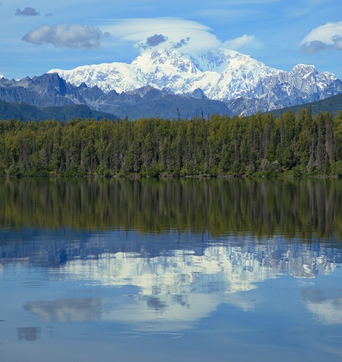 Weerspiegeling van de Mount Denali in het water, Alaska, Amerika