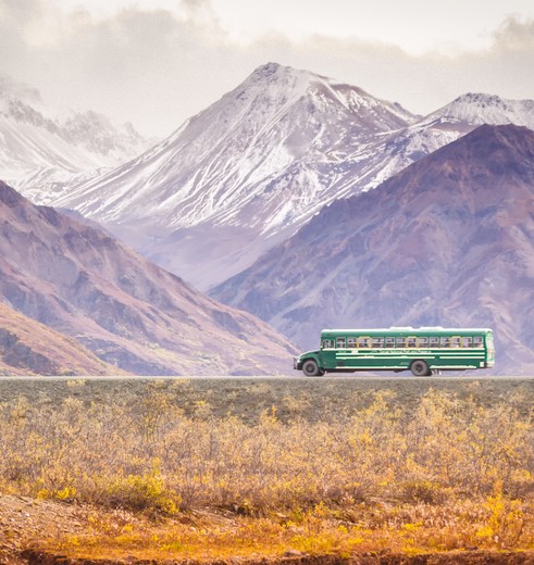 Bustour door Denali National Park, Alaska, Amerika