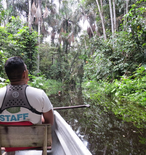 Op pad met de gids in een kano, opzoek naar dieren in de Amazone