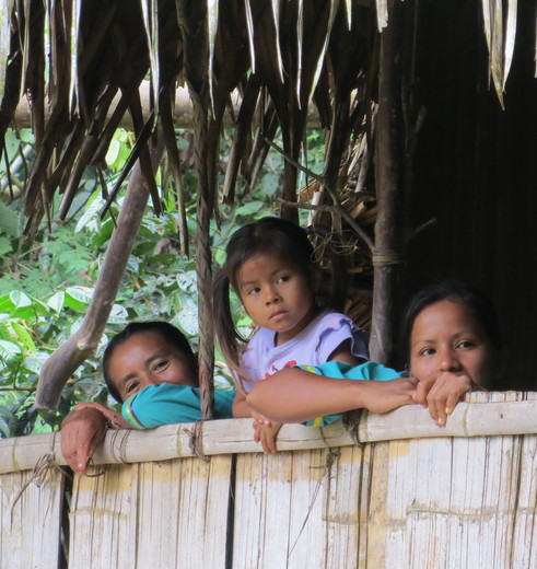 De Qichwa Añangu gemeenschap in de Amazone