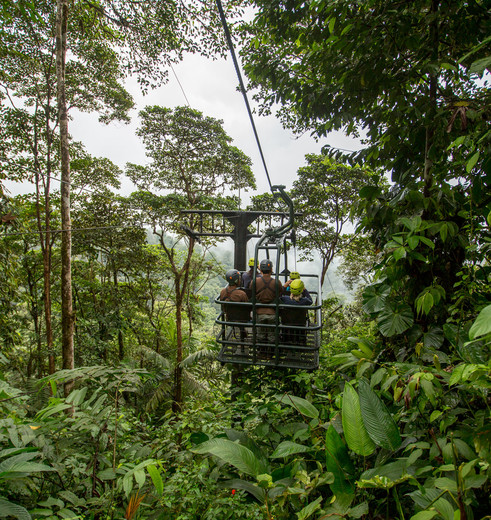 ‘Vlieg’ over het nevelwoud in de dragonfly in Mashpi, 
