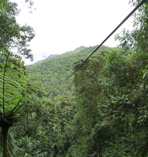 Vlieg tussen de boomtoppen in de Tarabita in Mindo