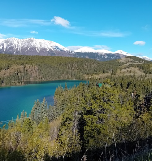 Smaragdgroen Emerald Lake, Yukon, Canada