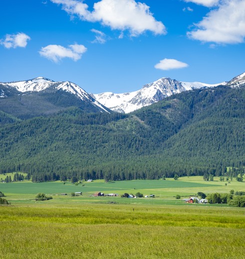 Alpen in Noordwest-Amerika bij Joseph