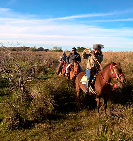 Paardrijden-bij Esteros-del-Ibera-Argentinie