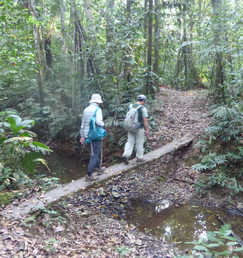 Niet alleen over de makkelijke paden in Madidi National Park - Bolivia