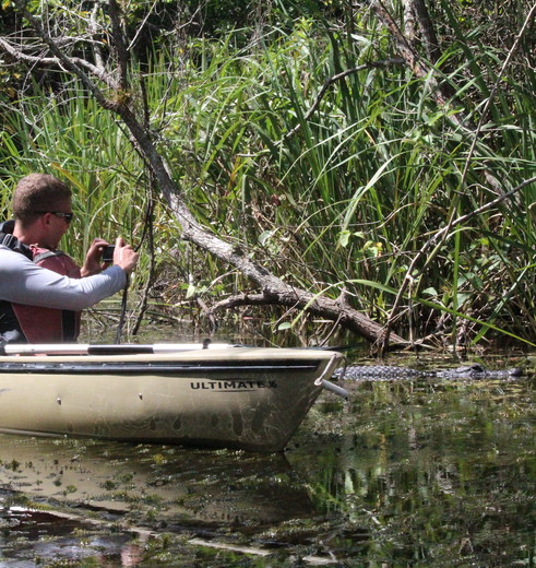 Dieren spotten tijdens het kajakken in de Everglades