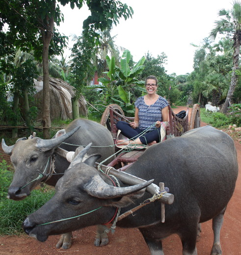 Excursie countryside