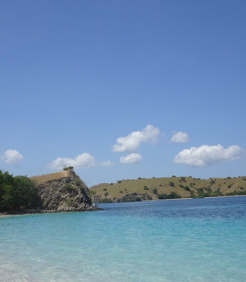 Flores-Komodo-Pink-Beach